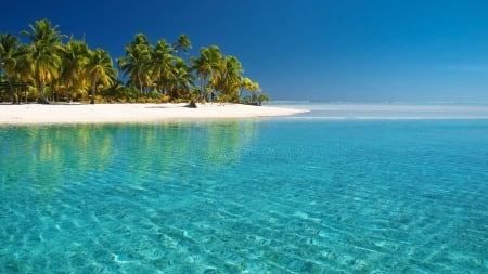 beautiful beach - trees, water, blue, beach, vacation