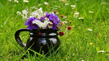 Garden in Spring - colors, flowers, pot, blossoms