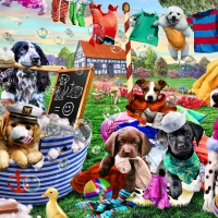 Laundry Day - Dogs FC