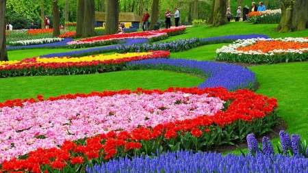 follow the flower path - colors, flowers, garden, many