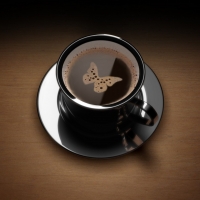 There's butterfly in my coffee