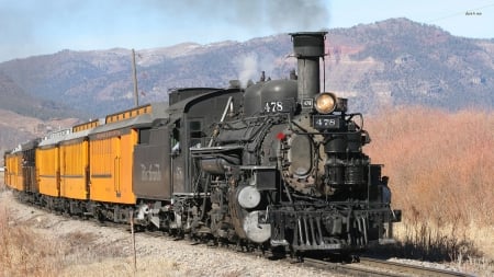 steam train - train, locomotive, steam, grass