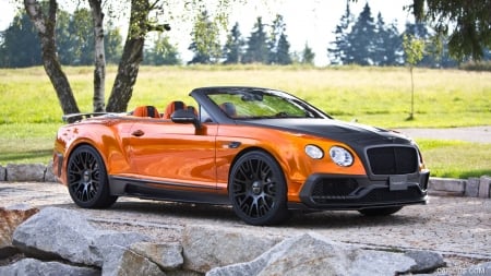 2016 MANSORY Bentley Continental GT Convertible - tuned, luxury, bentley, car, convertible, tuning, continental, mansory