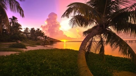 Tropical Beach at Sunset - clouds, trees, sunset, nature, tropical, beach, sea, palm