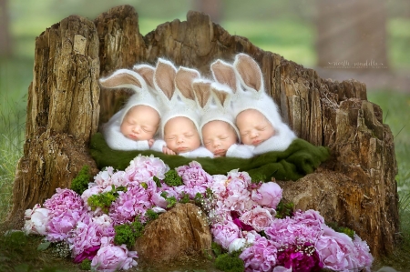 Sleeping bunnies - ears, noelle mirabelle, children, flower, pink, bunny, copil, baby, sweet, sleep, cute