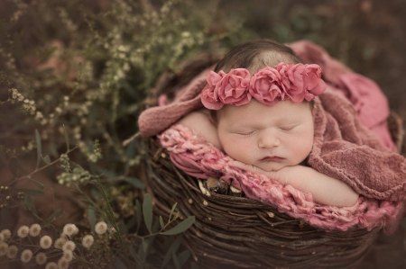 Sleeping little beauty - girl, flower, pink, copil, baby, sweet, child, basket, wreath, sleep, rose, cute