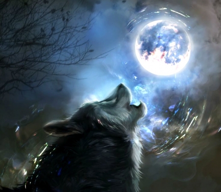 Calling - moon, blue, wolf, lup, fantasy, art, luminos, luna, madboni