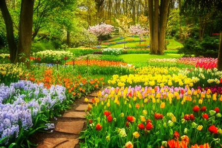 Flowers in park - greenery, pretty, summer, spring, grass, lovely, freshness, walk, alleys, flowers, Keukenhof, tulips, beauitiful, park