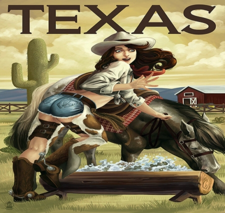 Cowgirl Texas - Cowgirl, Woman, Beautiful, Brunette, Western, Pretty, Abstract, Jeans, Funny, Texas, Hat, Horse, Chaps