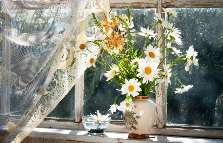 Still Life - pretty, still life, flower, vase