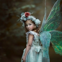 Little fairy