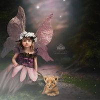 Little fairy