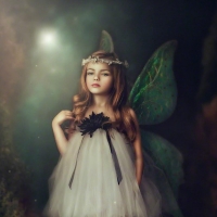 Little fairy