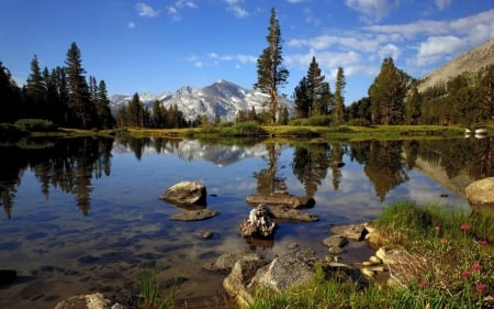 Yosemite National Park, California - reflections, clouds, river, trees, landscape, sky