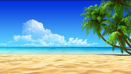 Palm Beach - nature, beach, trees, clouds, sand, palm, sea