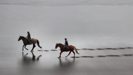 Horseback Riding - wide screen, equine, riding, photography, riders, horse, beautiful, animal, photo