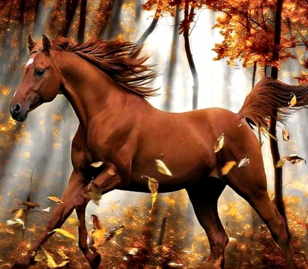 Chestnut Horse Running