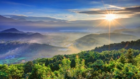 Sunrise Over The Mountains - trees, nature, fog, sunrise, forest, mountains