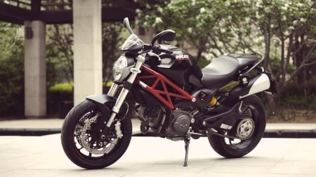 Ducati Monster 796 - vehicles, ducati monster 796, ducati, motorcycles