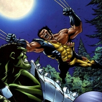 Hulk Vs Wolverine