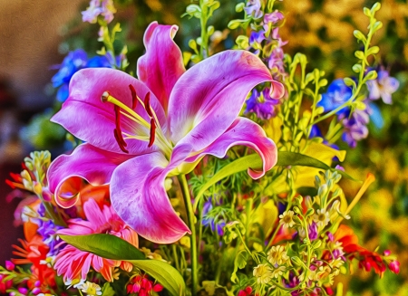 Colorful Flowers - pink, lily, flowers, nature, fractalius