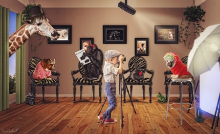 Little photographer - bird, childhood, camera, room, dog, creative, copil, monkey, toy, child, boy, animal, giraffe, cute, tara lesher