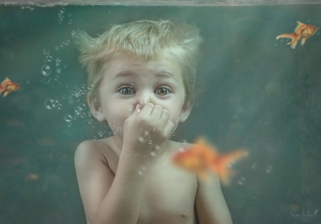 Little boy - summer, copil, child, golden fish, underwater, childhood, blue, boy, mermaid, orange, tara lesher, cute