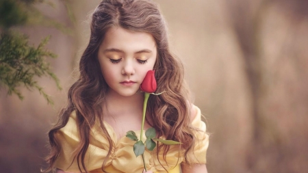 Little Belle - childhood, yellow, girl, flower, copil, beauty and the beast, belle, red, rose, cute, tara lesher, little