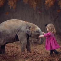 Little friends