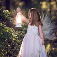 Wings of light