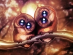 Owls