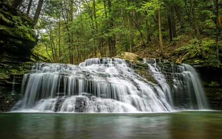 Freedom Falls, Pennsylvania - usa, trees, nature, waterfall