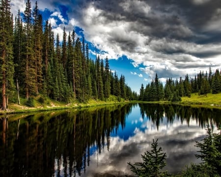 Reflection in the Lake - nature, lake, trees, forest, reflection, clouds, spruce