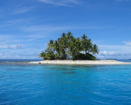 Lost Paradise - nature, blue, beach, island, sea, ocean, palm