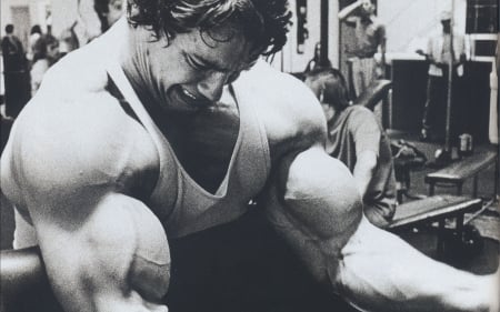 arnold shwarzenegger - muscles, arnold, shwarzenegger, man