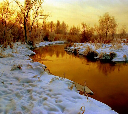 Orange Sunset - snow, lake, trees, sunset