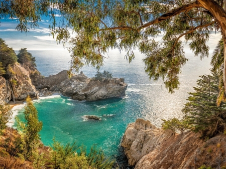 Tree on the Rocky Coast - stone, trees, rocky, nature, coast, sea