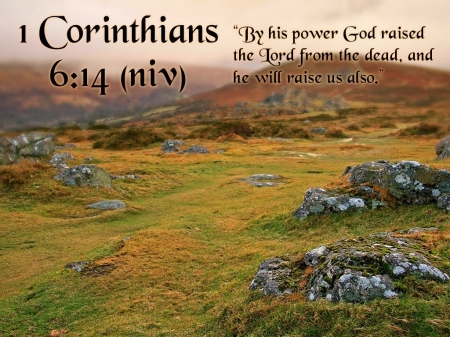 Corinthians 6:14 - jesus, rocks, bible, lord, sky, god, graves, fields, nature