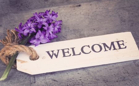 Welcome! - white, purple, card, flower, spring, hyacinth, welcome