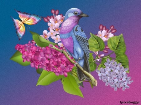 BIRD ON LILACS - creation, pretty, bird, lilacs