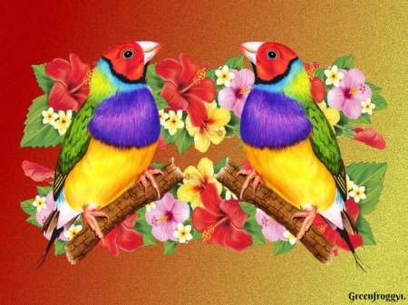 GOULDIAN FINCHES - creation, two, cute, birds