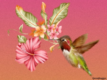 LITTLE HUMMINGBIRD - creation, little, cute, bird