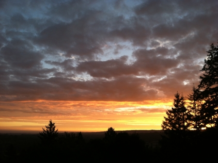 Treetop View 2 - nature, sky, sunset, trees