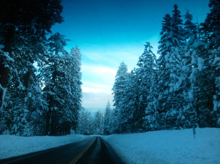 Road Trip Through Winter Wonderland - forests, winter, nature, snpw