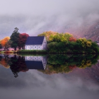 Misty Day at Lake House