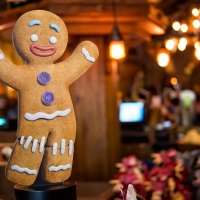 Gingerbread Man