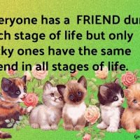 FRIEND
