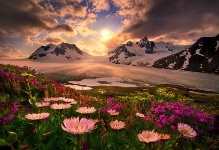 So long for this moment - rays, sky, landscape, mountain, meadow, sunset, lovely, mist, view, pretty, moment, beautiful, photo, wildflowers, long