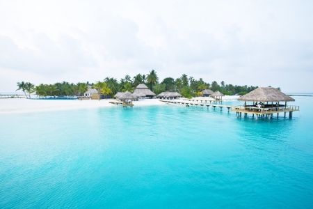 Beach Paradise - nature, beach, pier, island, sea