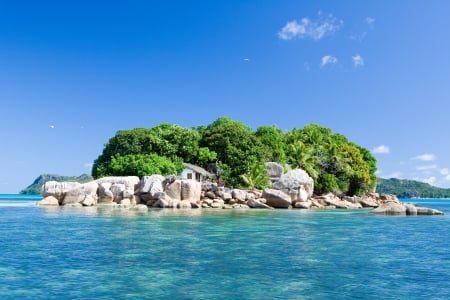 Ocean Island,Seychelles - nature, ocean, trees, landscape, island, house